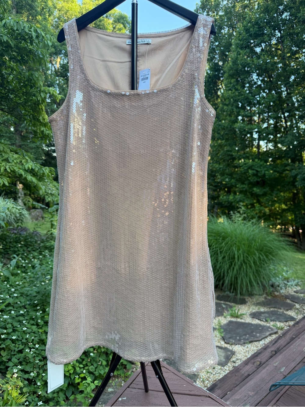 Abercrombie & Fitch Sequin Mini Dress in Champagne- Size L NWT